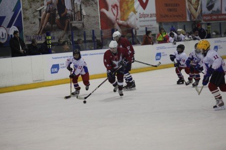 В Ульяновской области завершился региональный этап соревнований Всероссийского клуба юных хоккеистов «Золотая шайба»