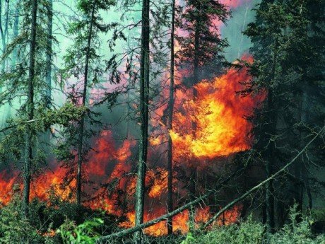 В Самарской области прошли широкомасштабные учения 
